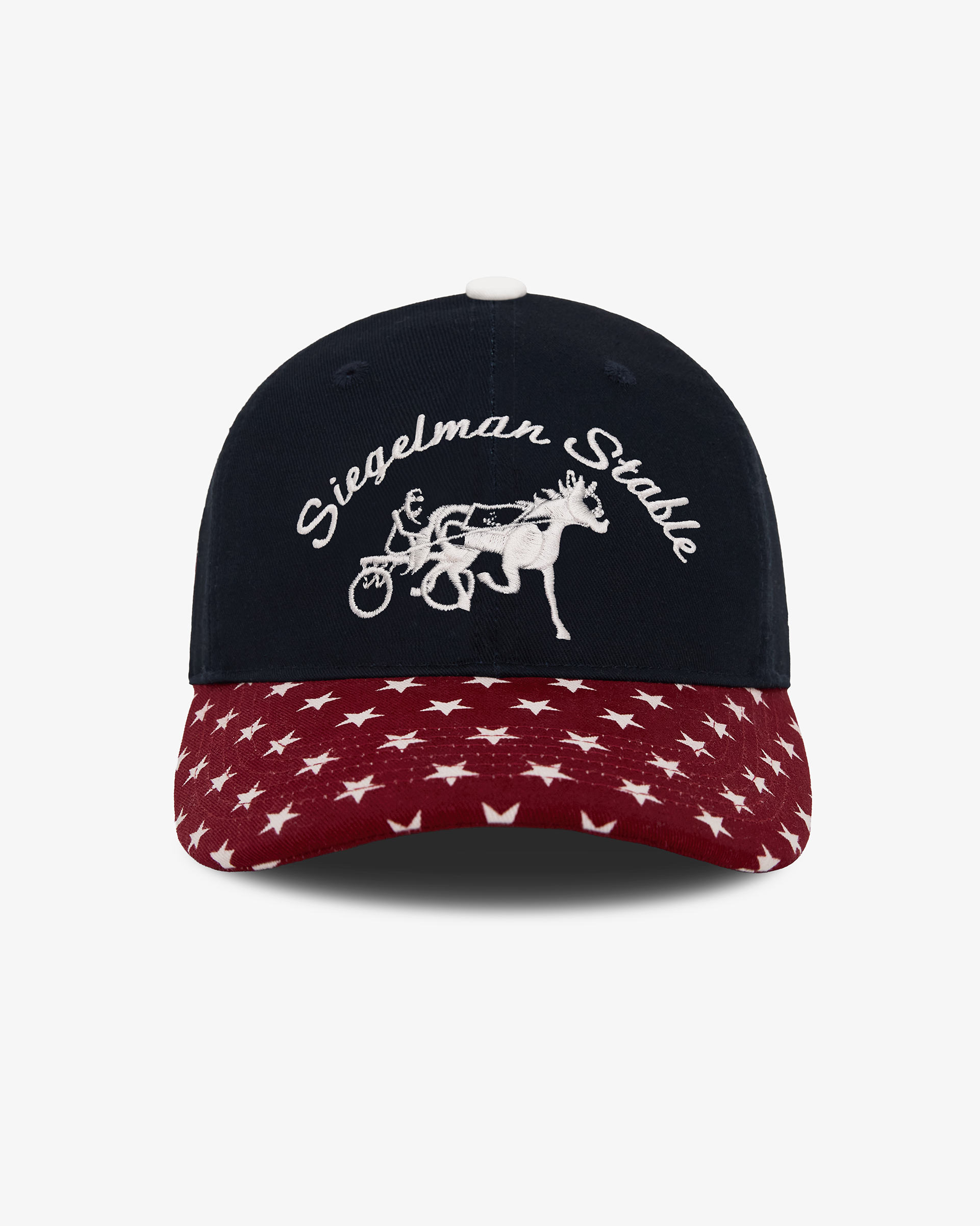 NYON x Siegelman Stable x US Soccer Underdog Dad Hat
