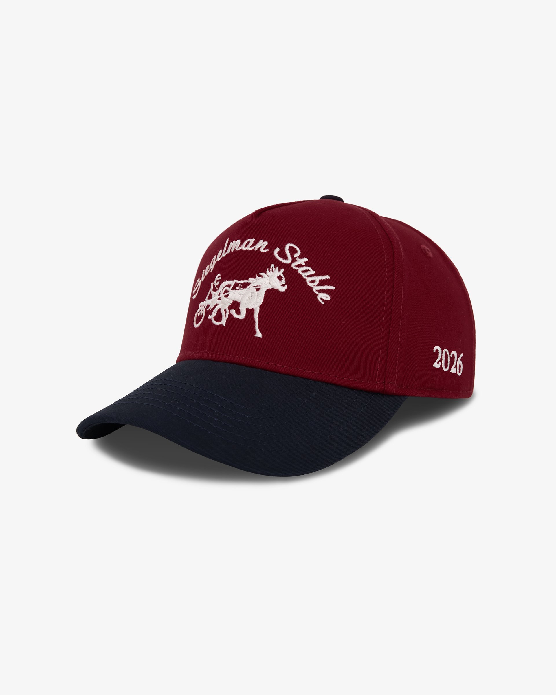 NYON x Siegelman Stable x US Soccer Underdog Snapback