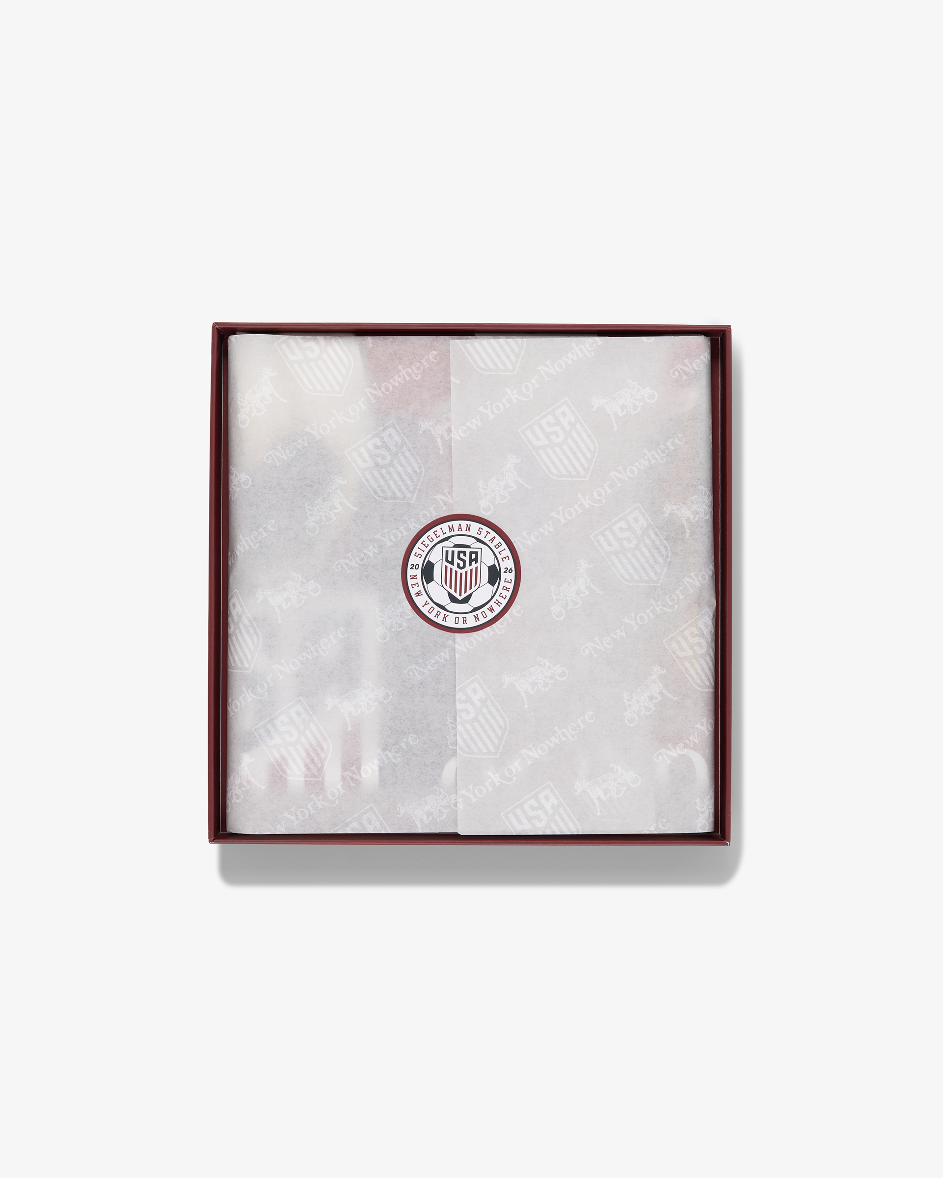 NYON x Siegelman Stable x US Soccer Silk Scarf