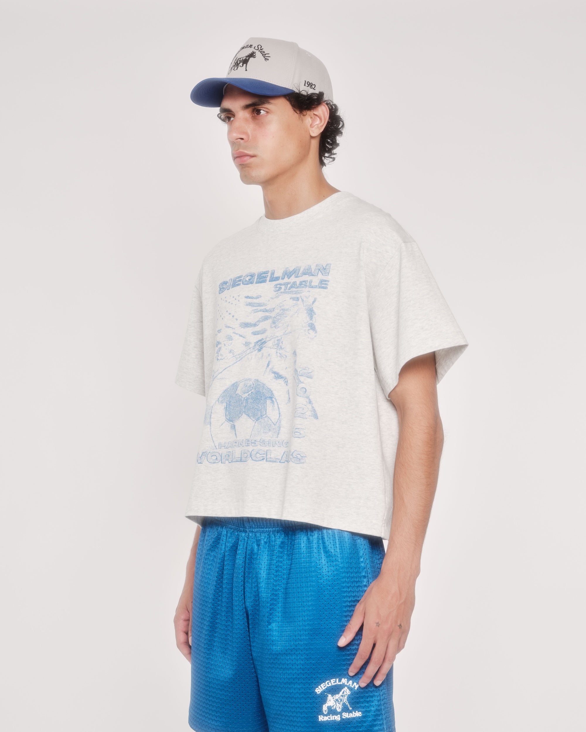 Harnessing World-Class Boxy Tee