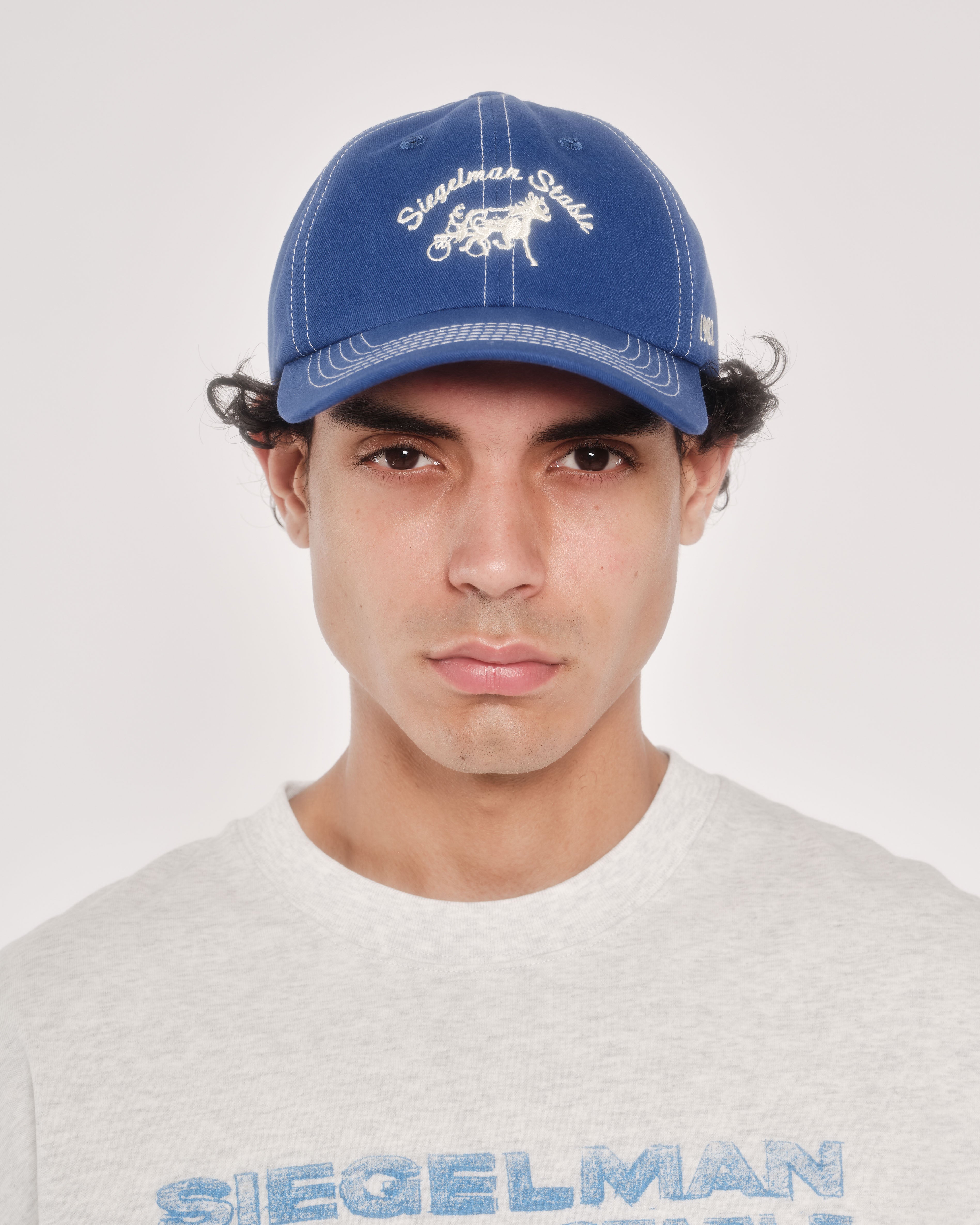 Siegelman Stable Dad Hat