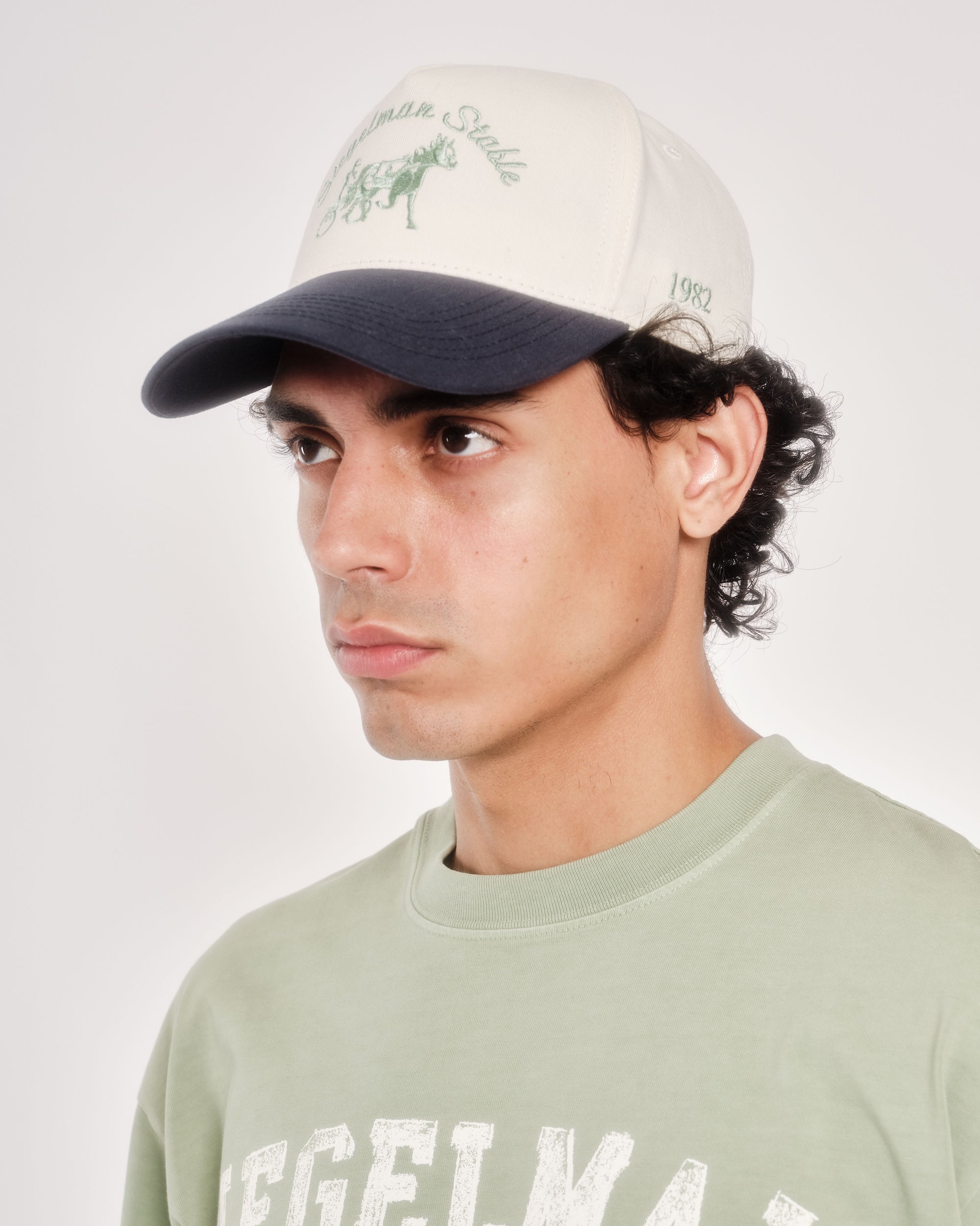 Siegelman Stable Hat