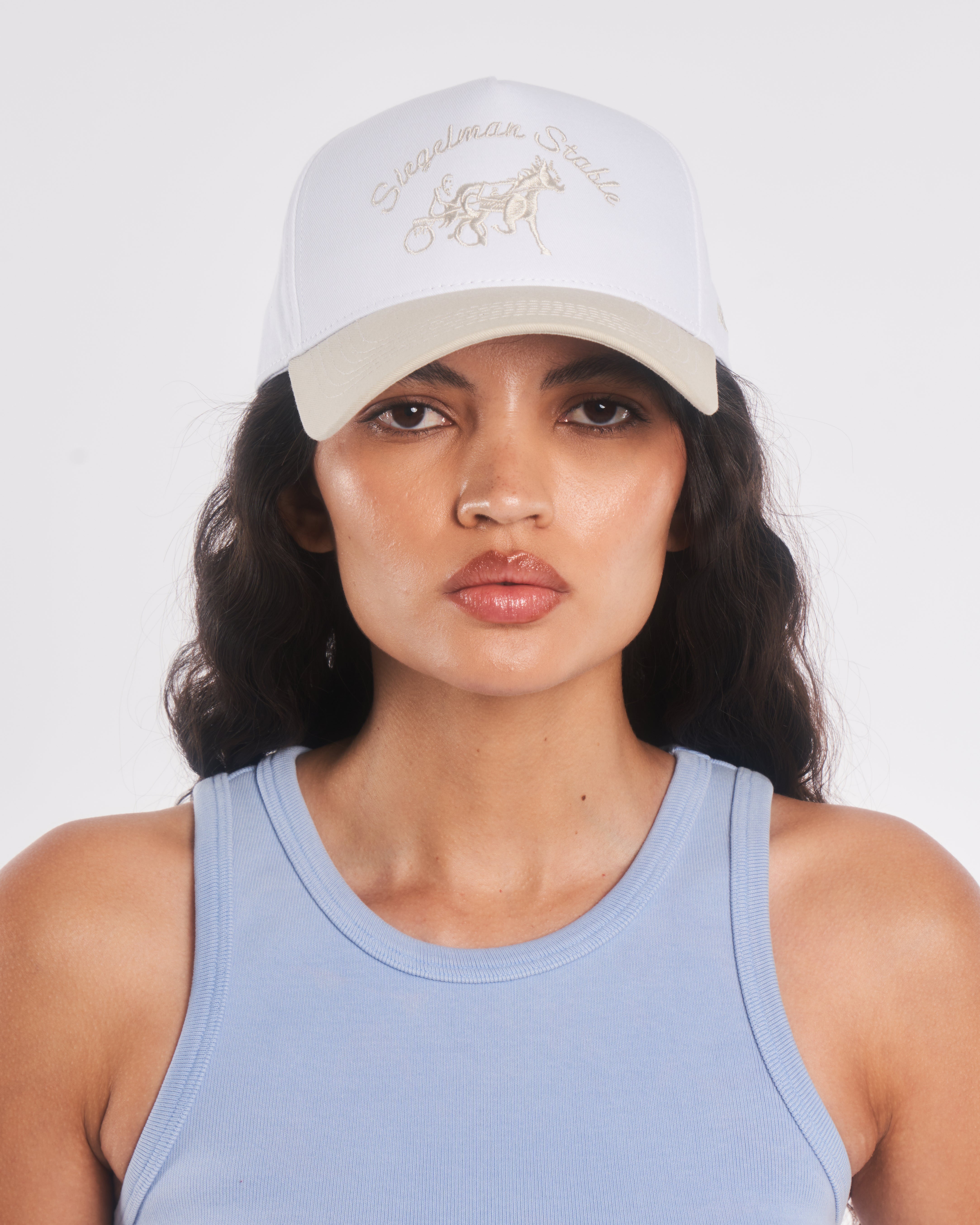 Siegelman Stable Hat