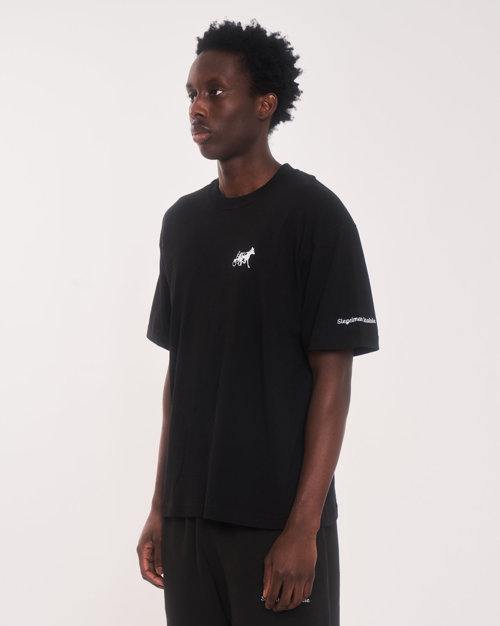 Embroidered Classic Tee