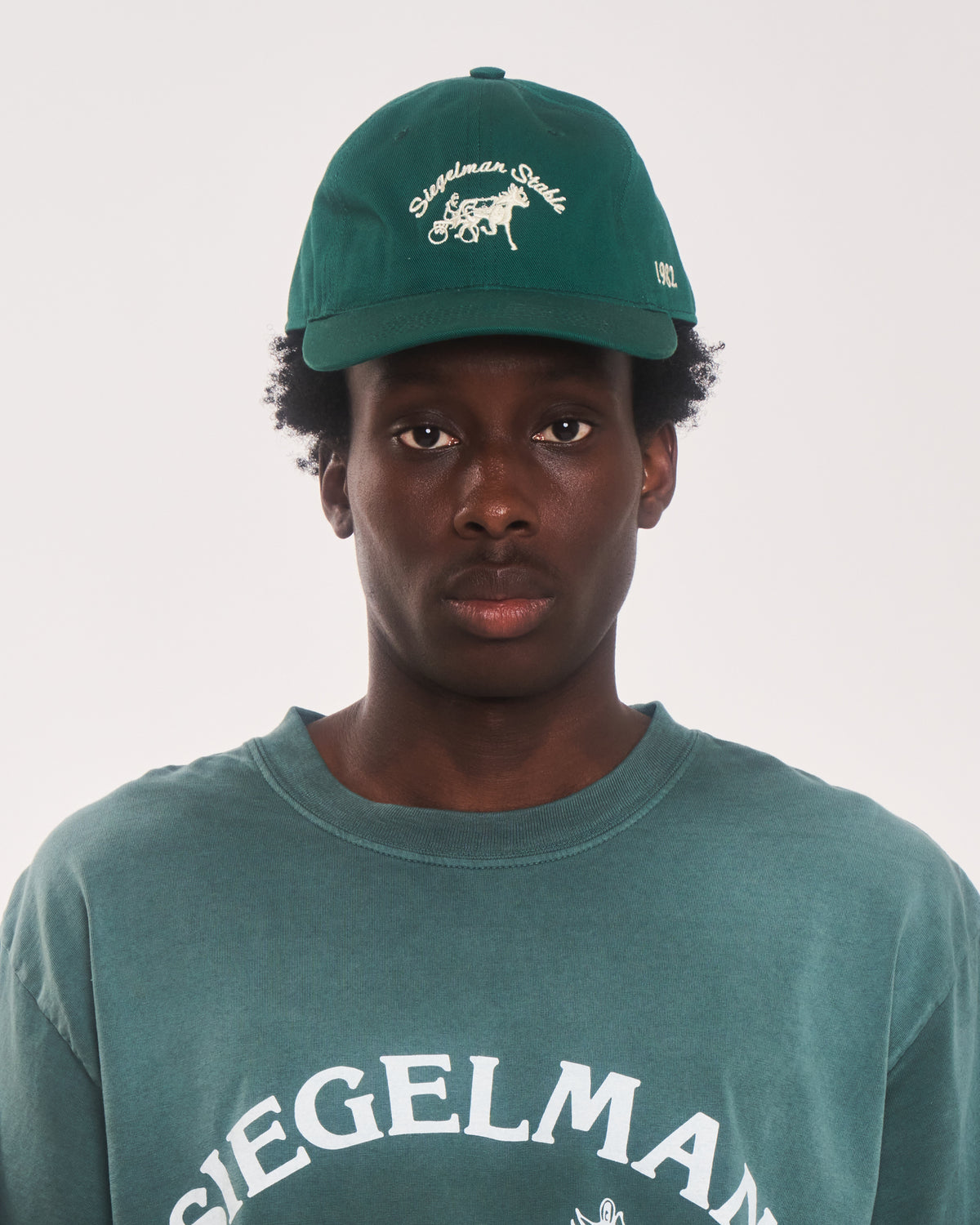 Siegelman Stable Dad Hat display picture 2