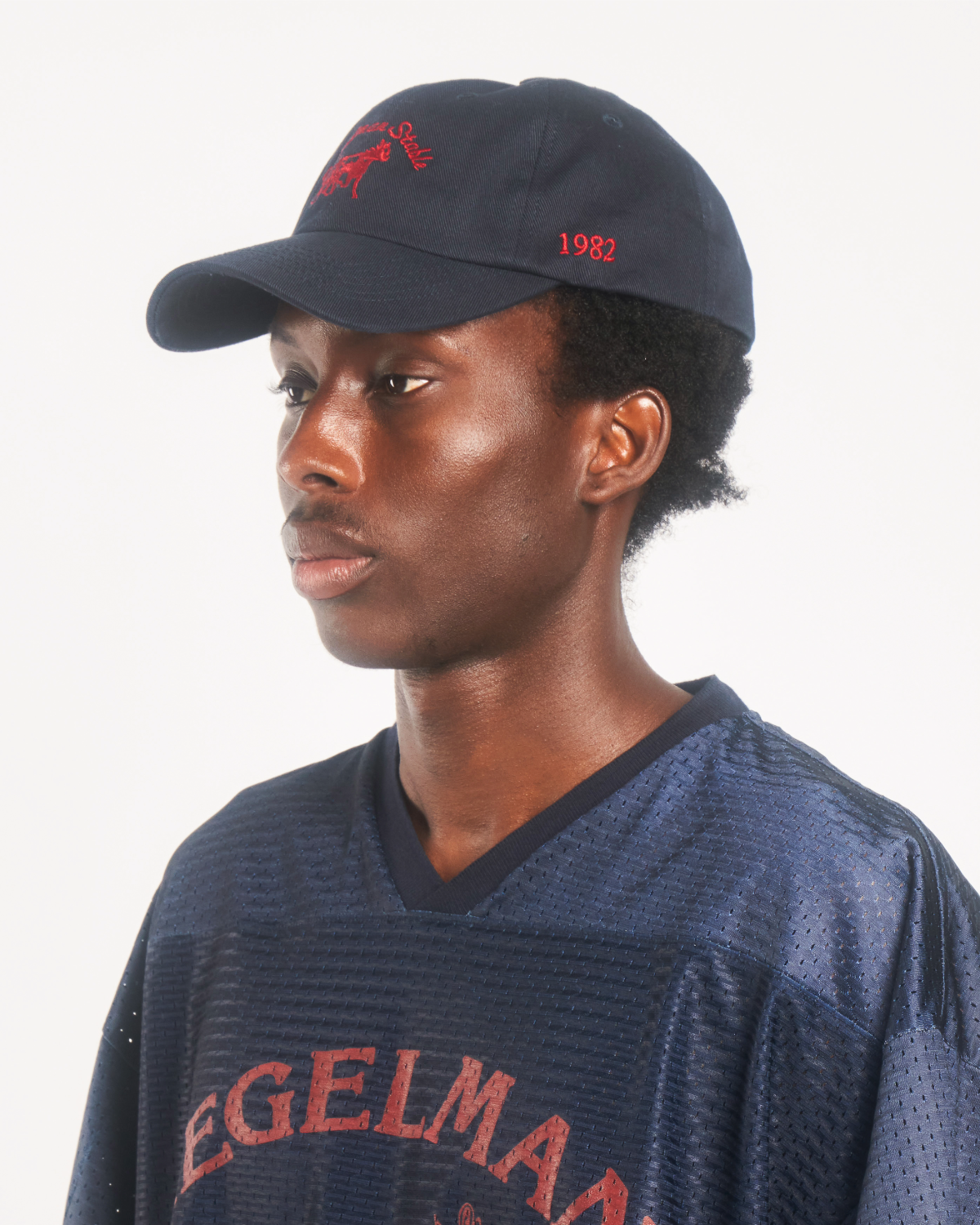 Siegelman Stable Dad Hat