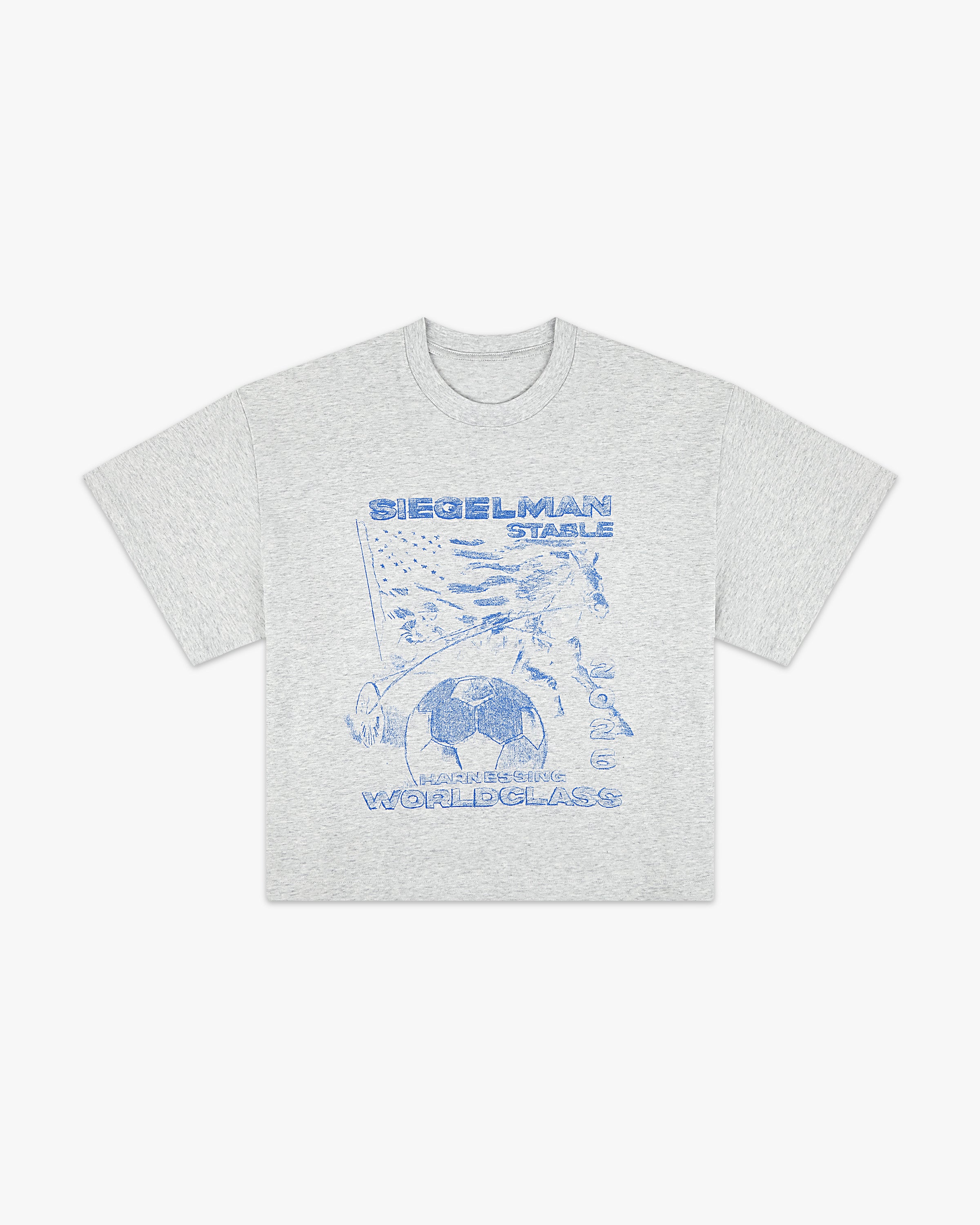 Harnessing World-Class Boxy Tee