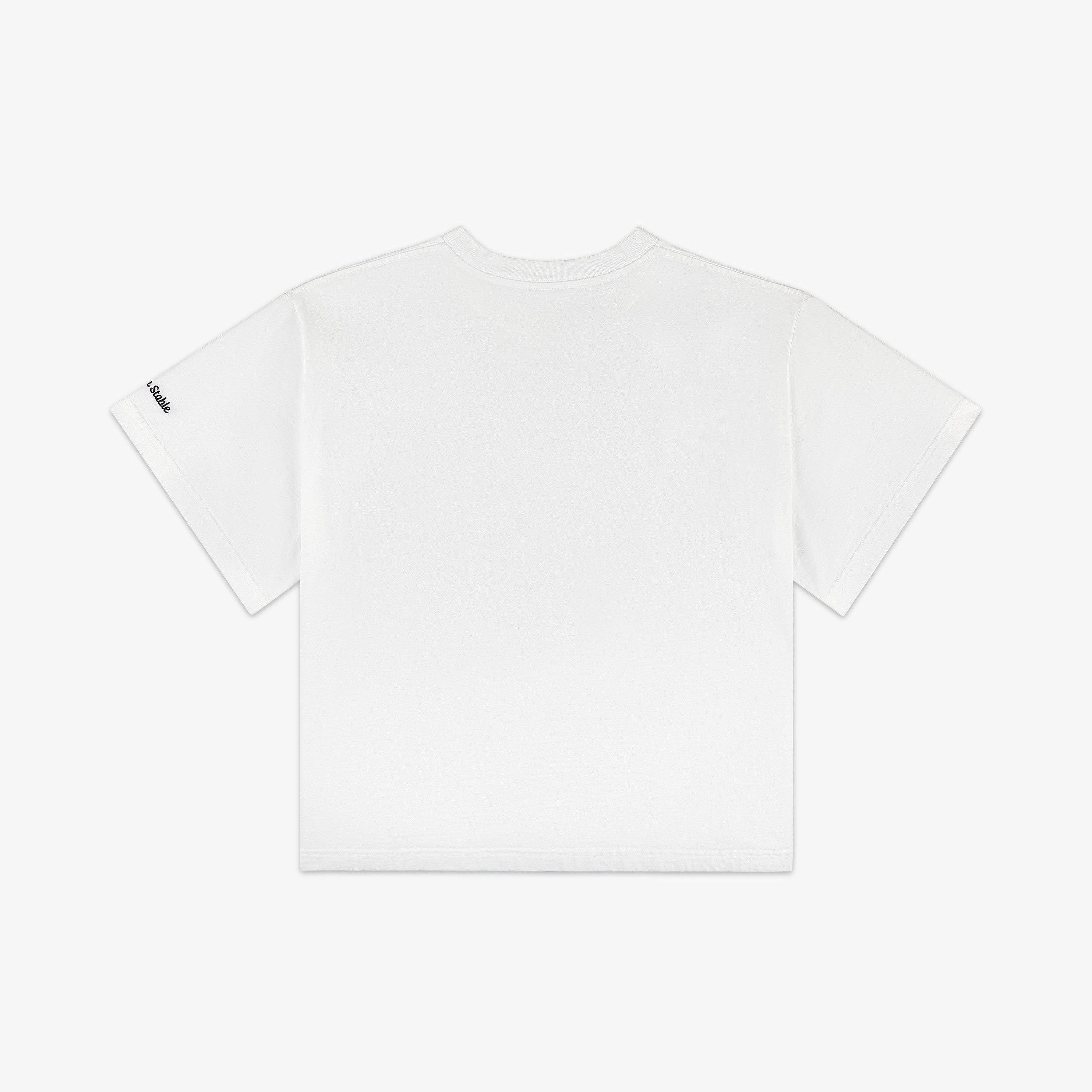 Embroidered Crop Tee