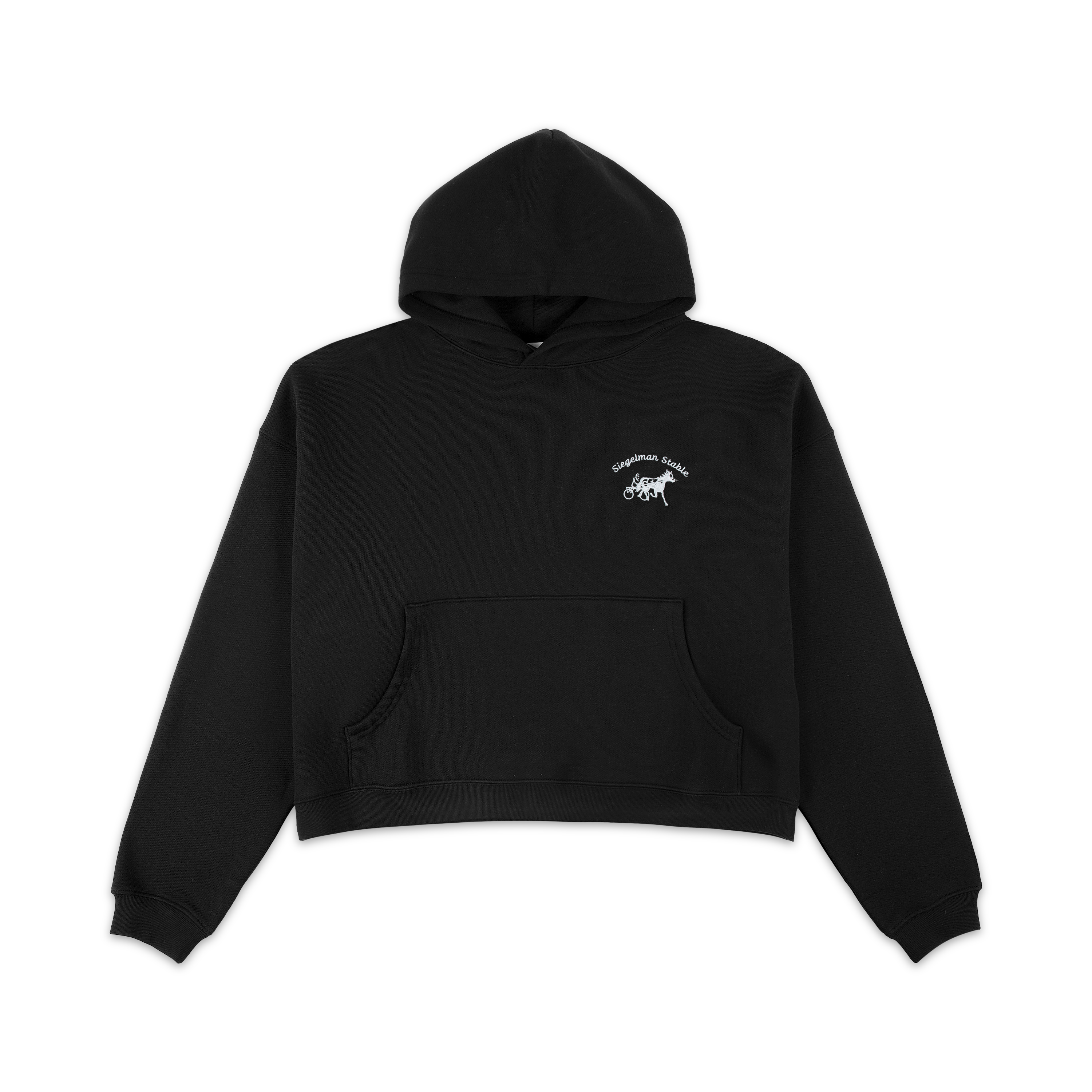 Embroidered Hoodie