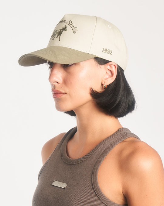 Siegelman Stable Hat