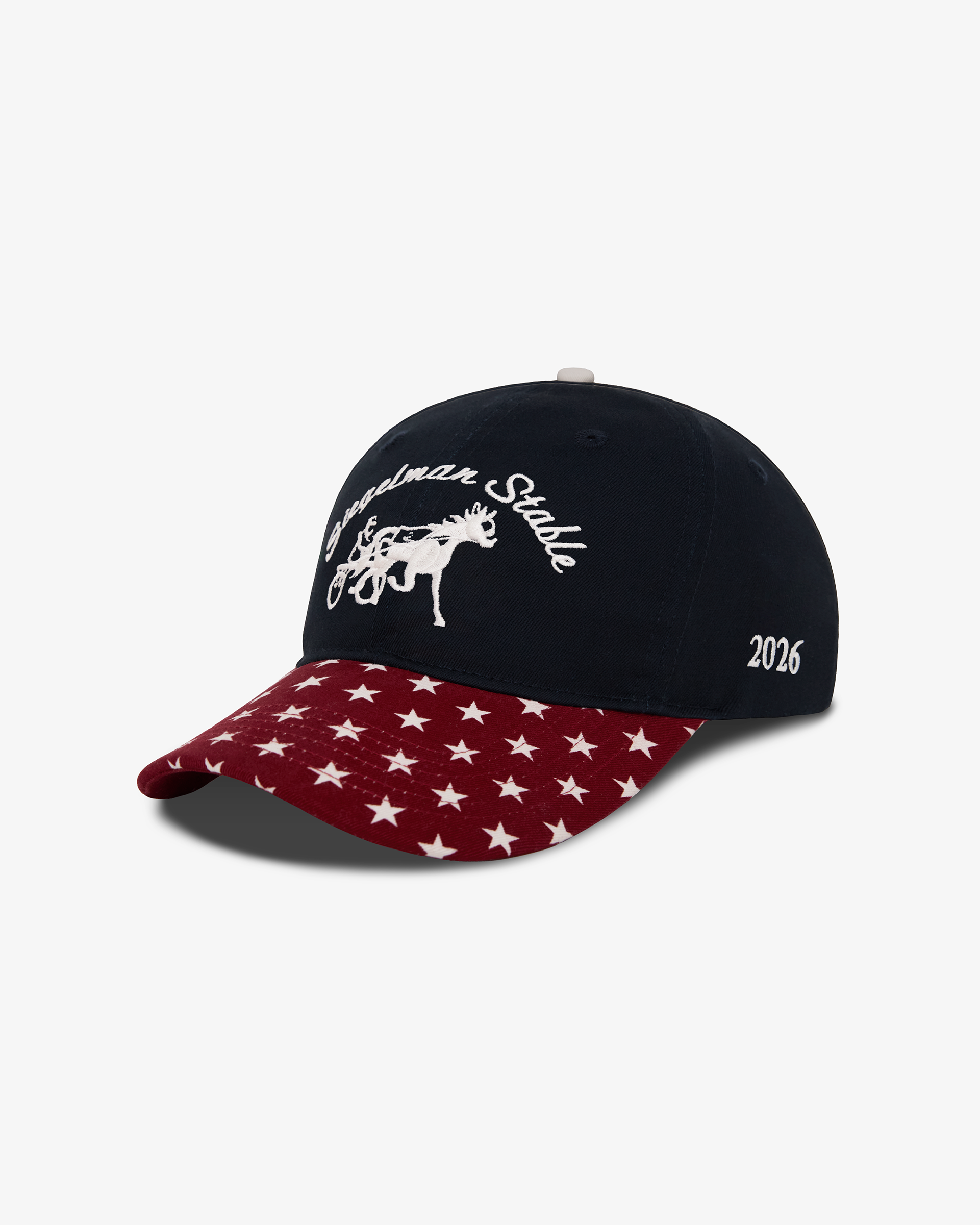 NYON x Siegelman Stable x US Soccer Underdog Dad Hat