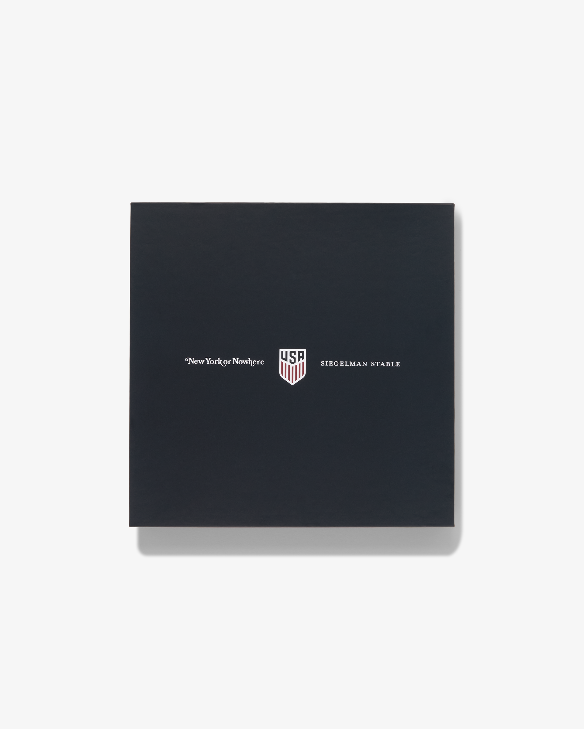 NYON x Siegelman Stable x US Soccer Silk Scarf