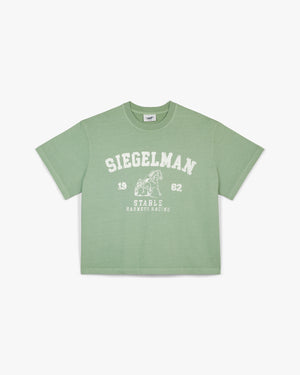 Front view of a seafoam green boxy tee with white arched Siegelman Stable collegiate graphic and horse emblem
