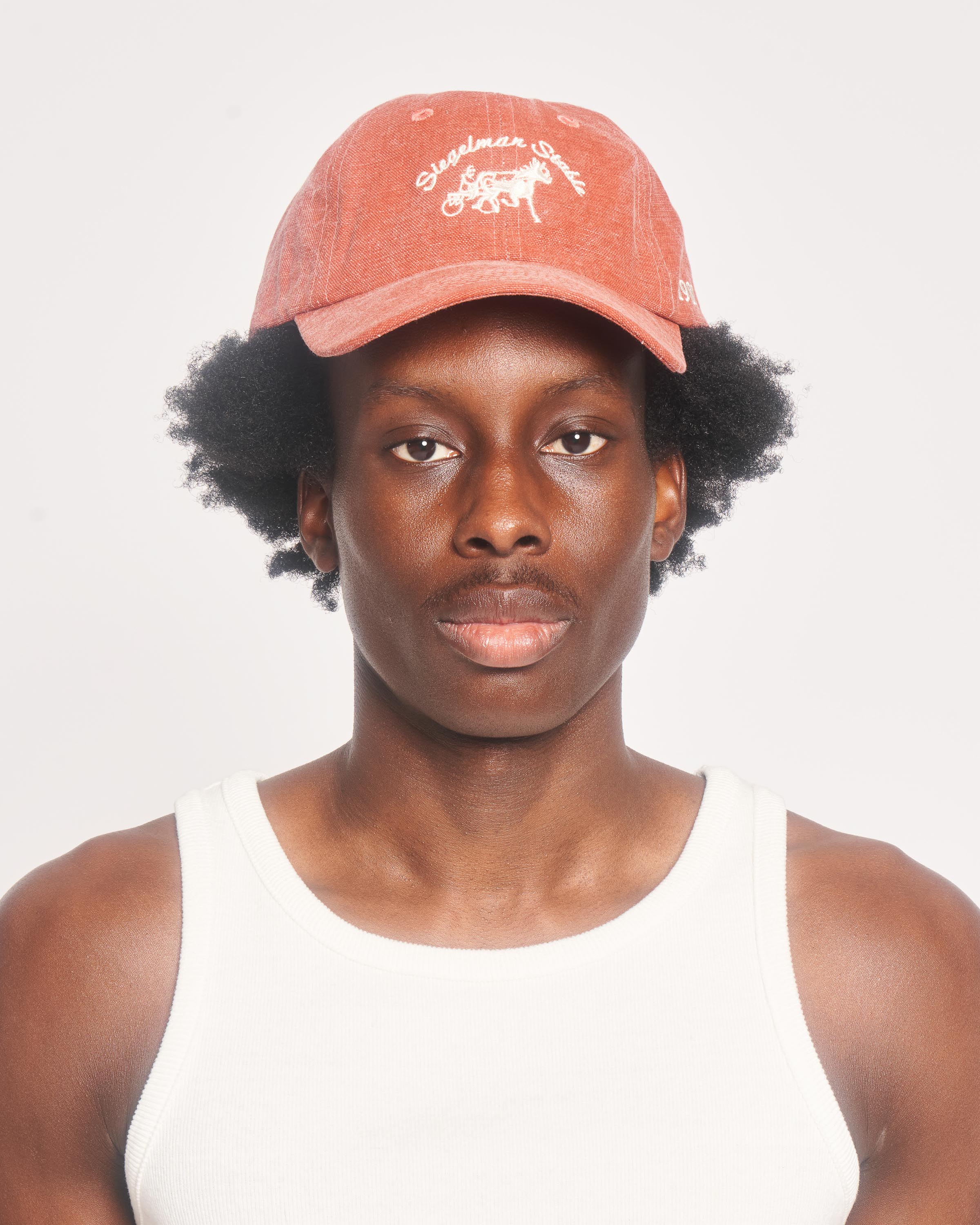 Siegelman Stable Canvas Dad Hat