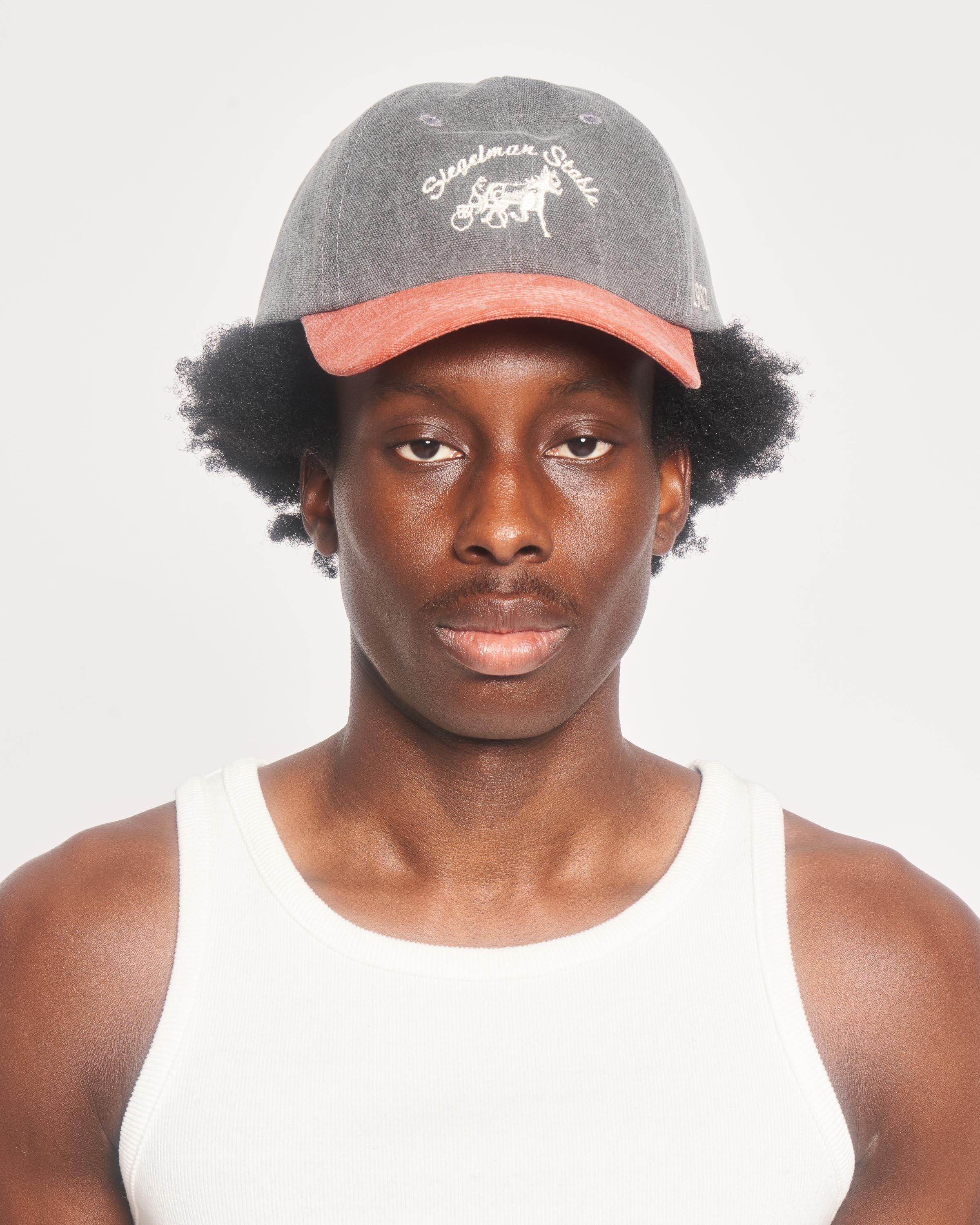 Siegelman Stable Canvas Dad Hat