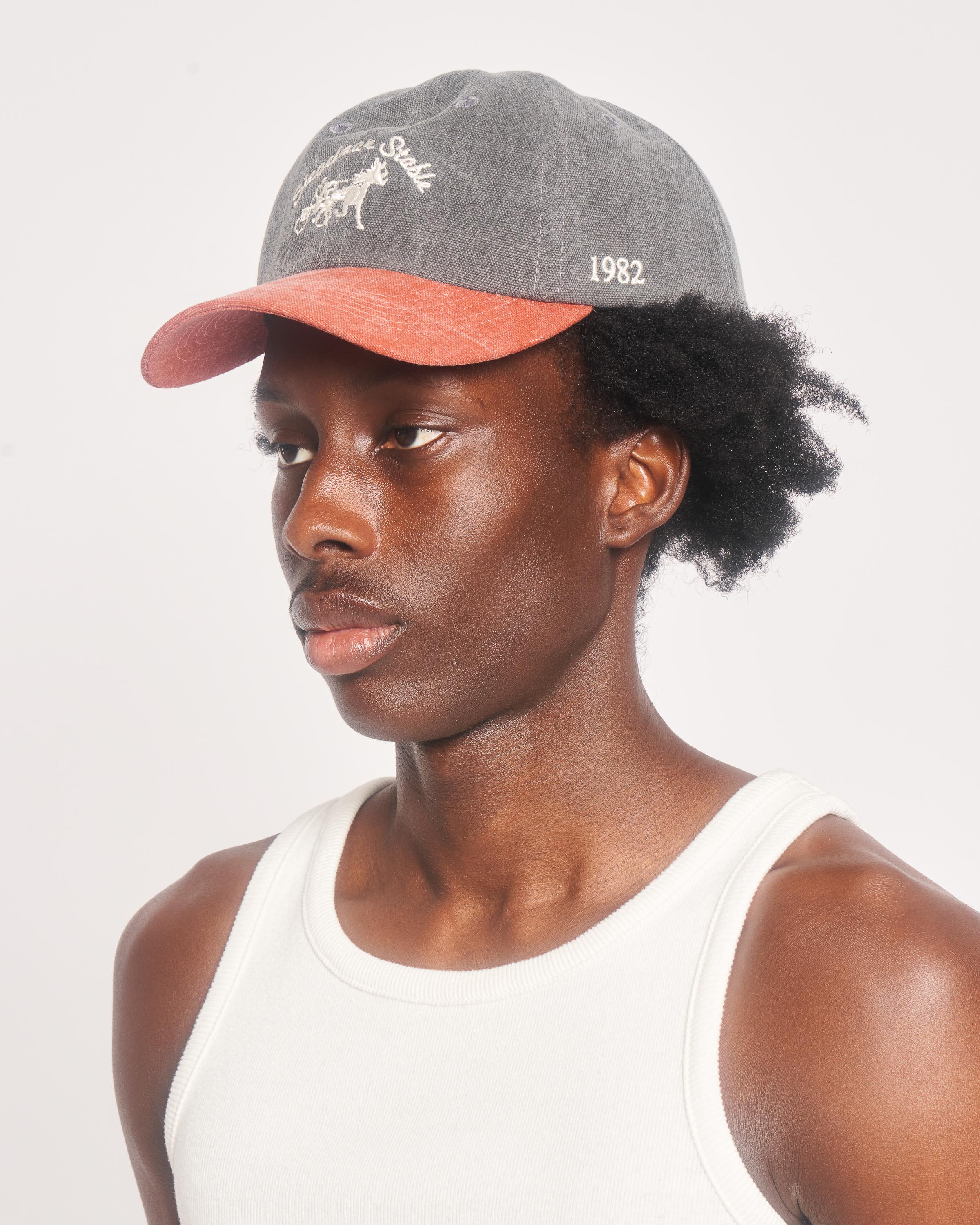 Siegelman Stable Canvas Dad Hat