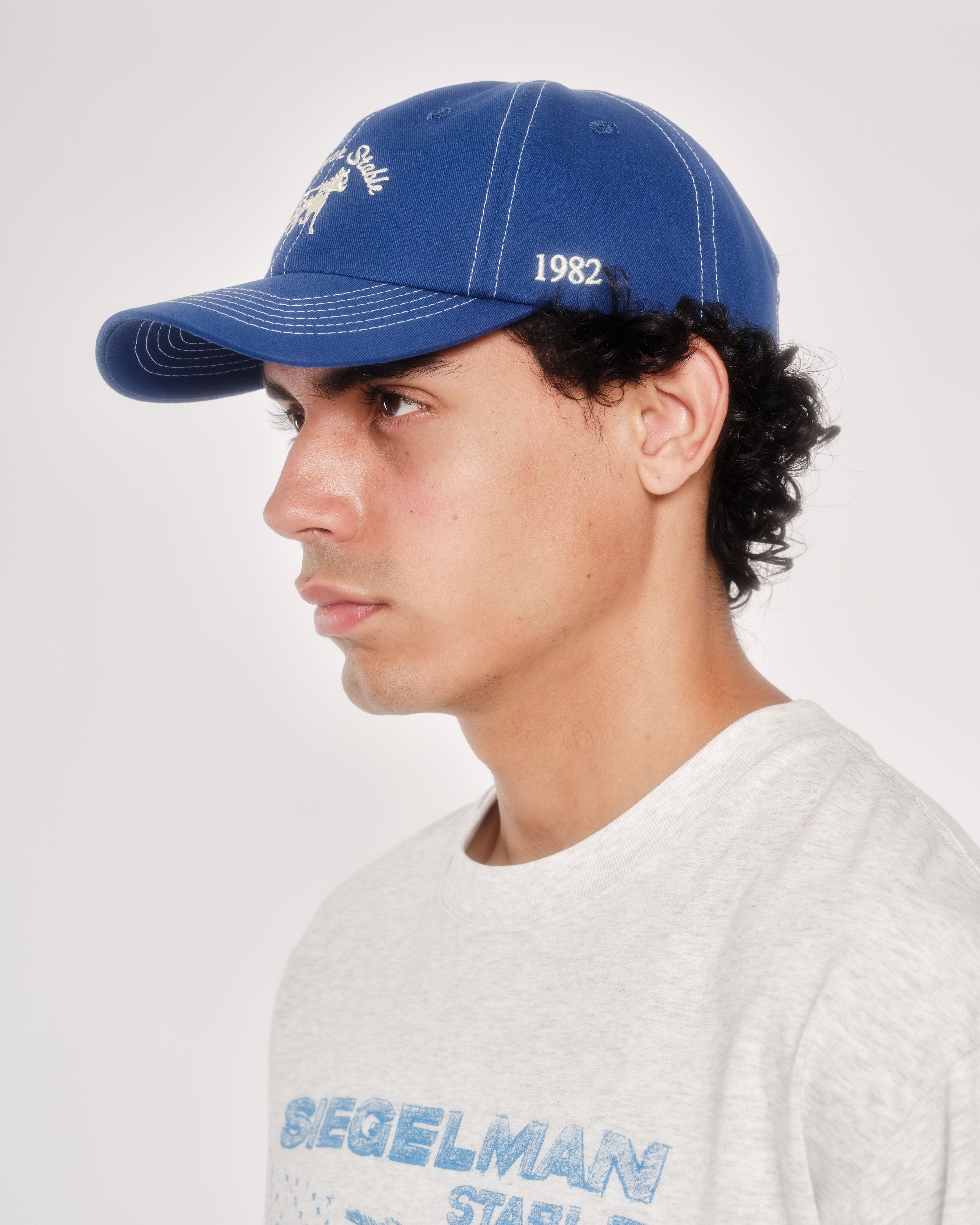 Siegelman Stable Dad Hat