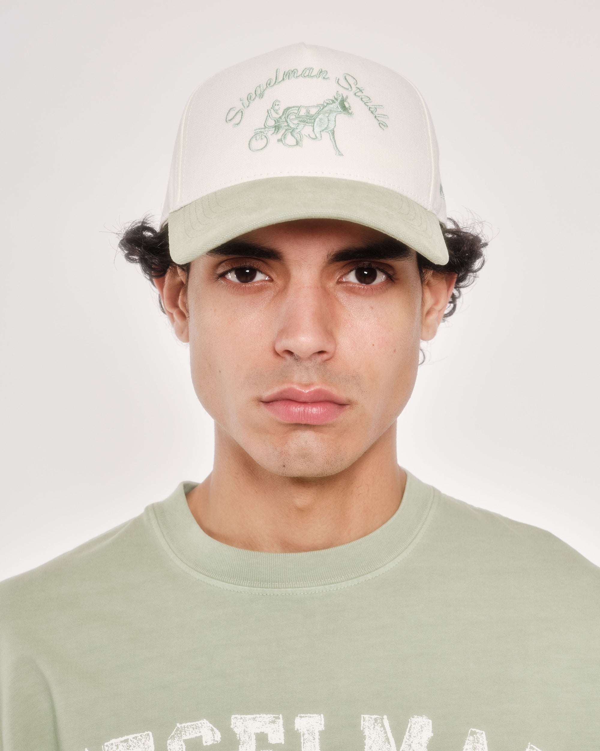 Siegelman Stable Hat