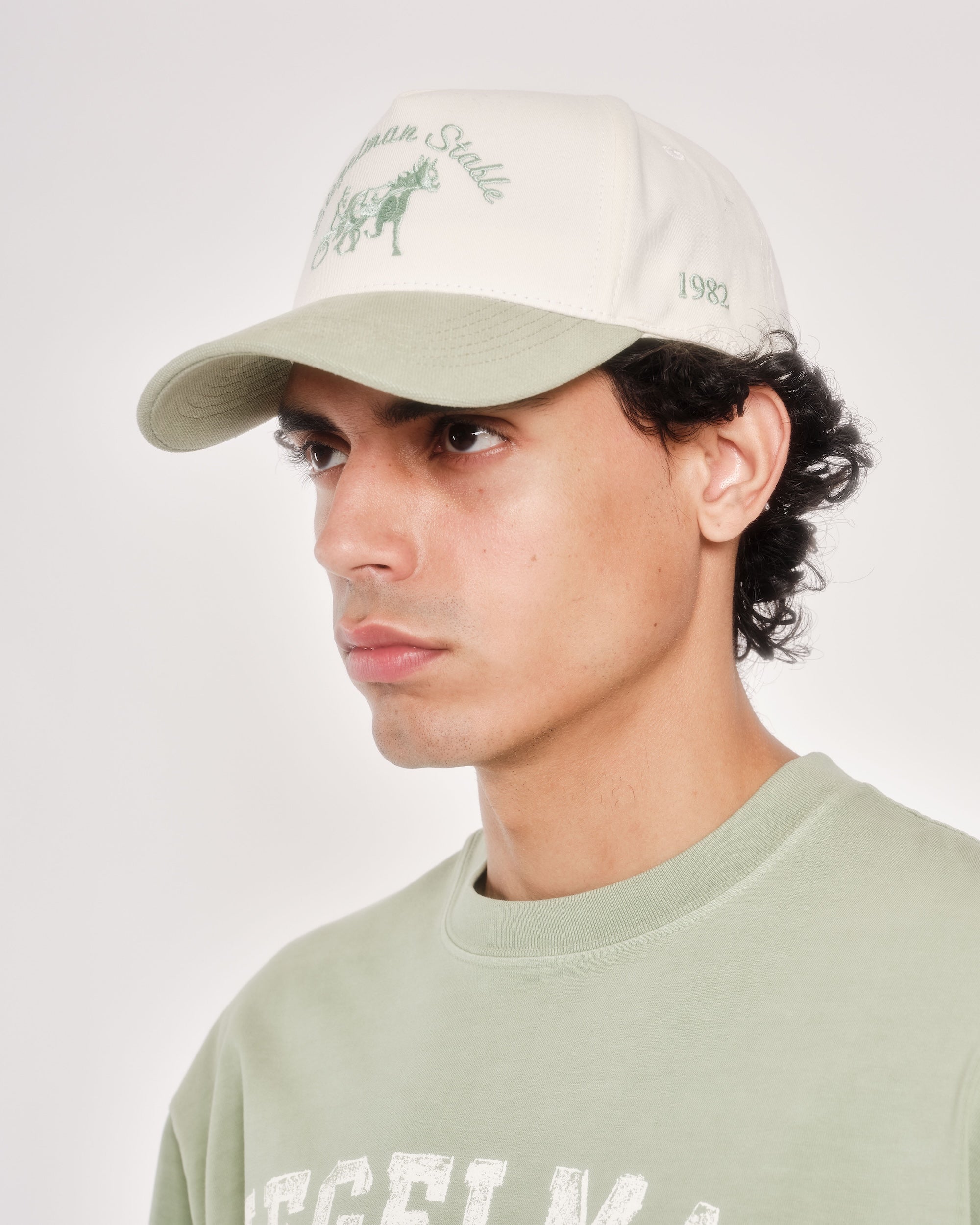 Siegelman Stable Hat