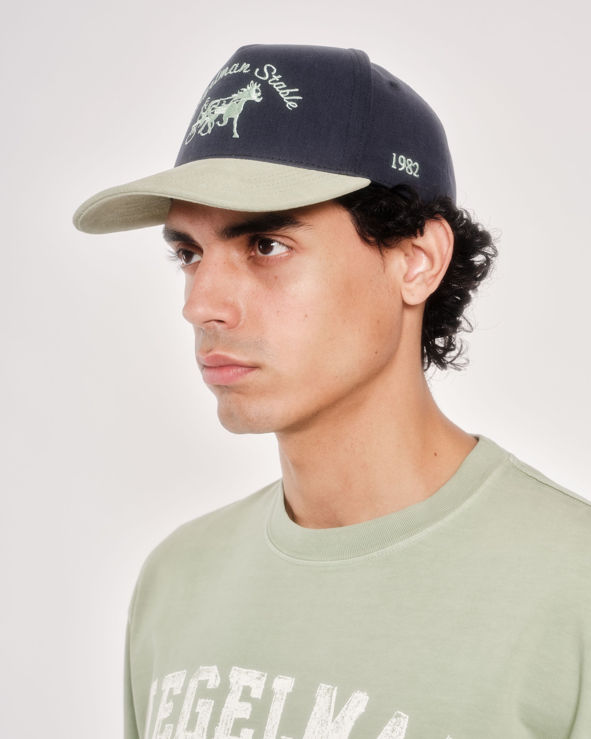 Siegelman Stable Hat