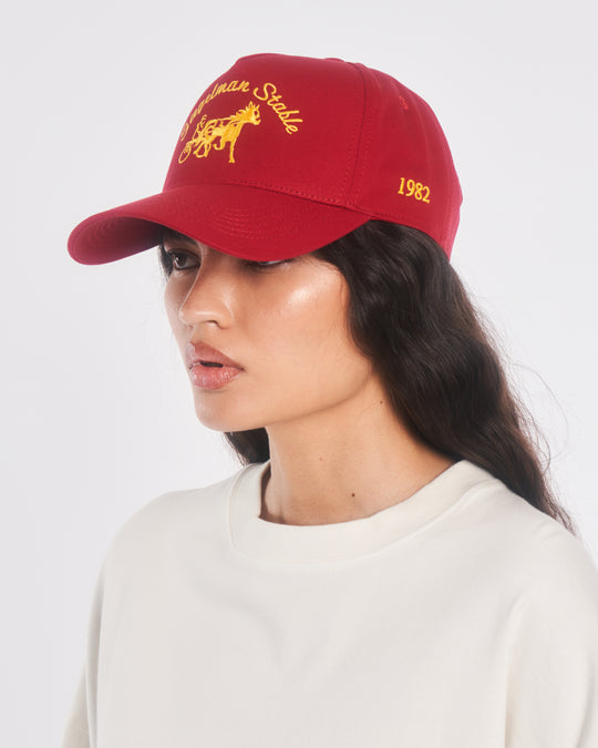 Siegelman Stable Hat