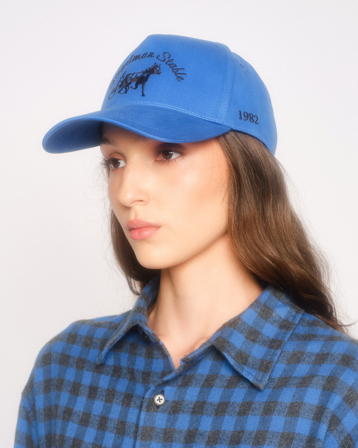 Siegelman Stable Hat