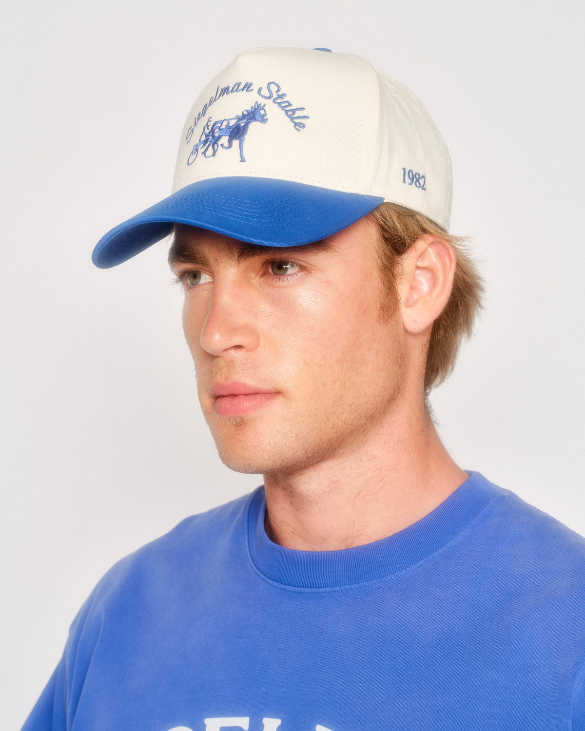 Siegelman Stable Hat