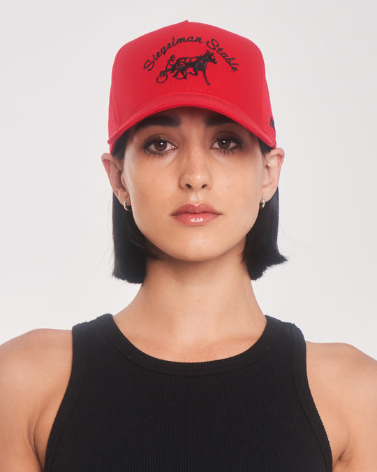 Siegelman Stable Hat