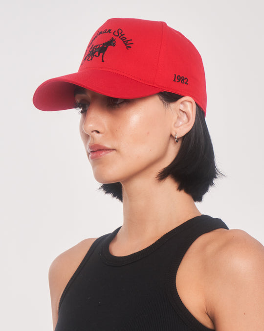 Siegelman Stable Hat