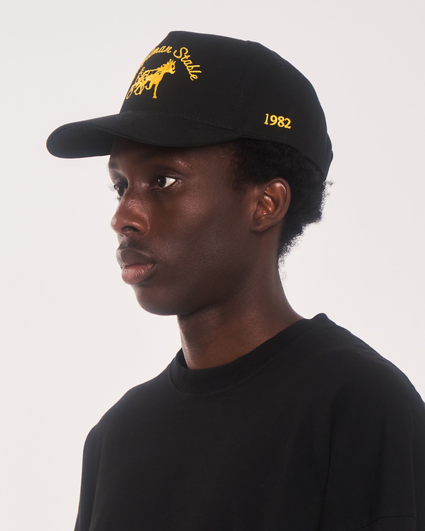 Siegelman Stable Hat