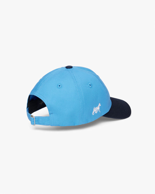 Siegelman Stable x Ford Dad Hat