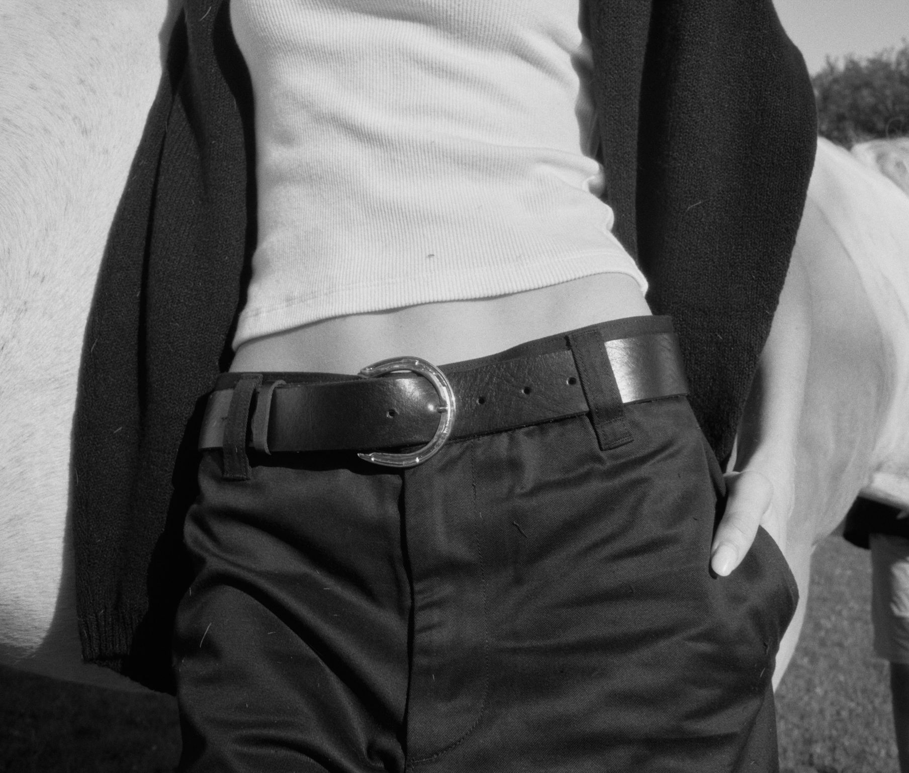 Horseshoe Belt