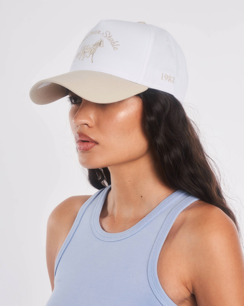 Siegelman Stable Hat