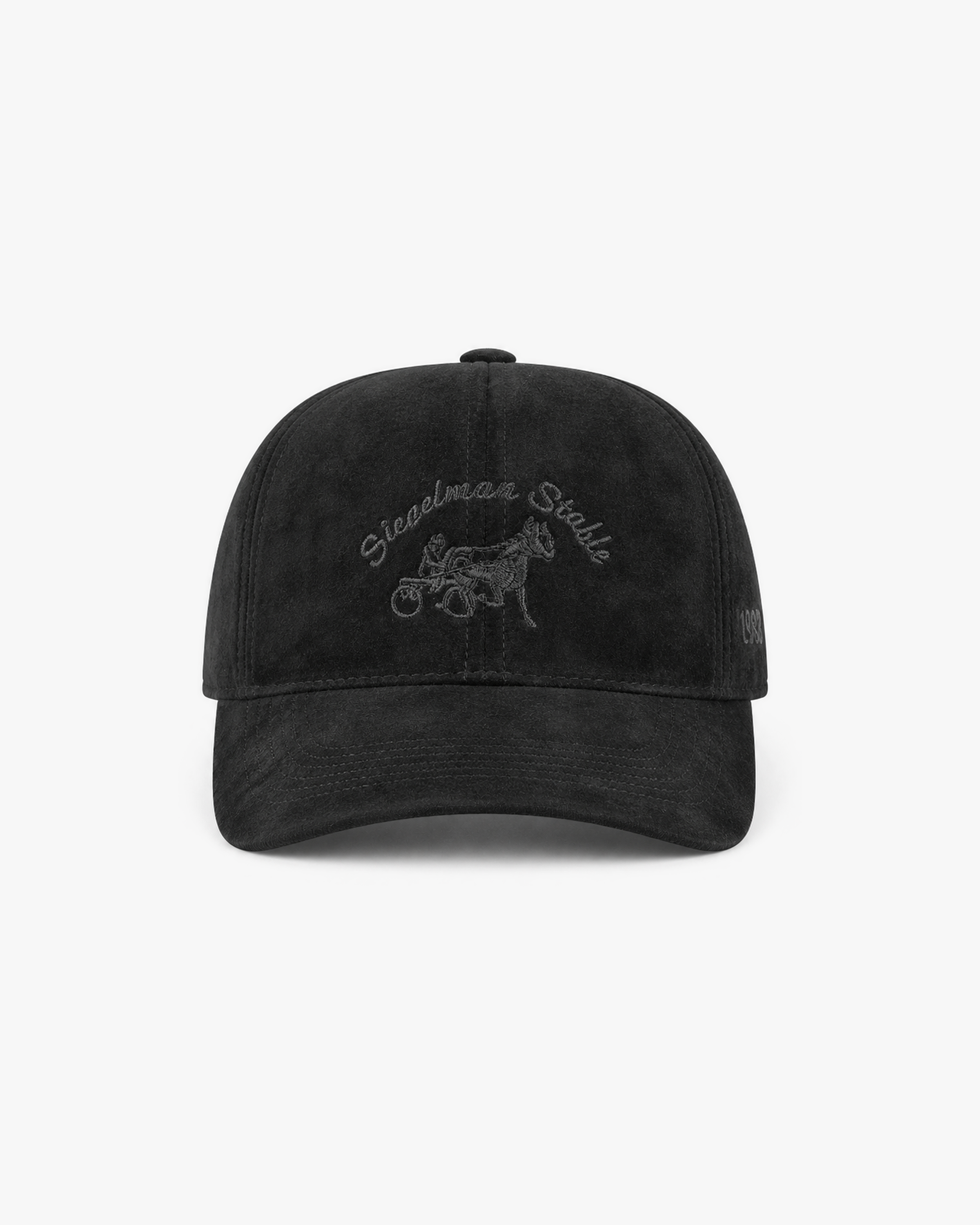 Siegelman Stable Suede Dad Hat