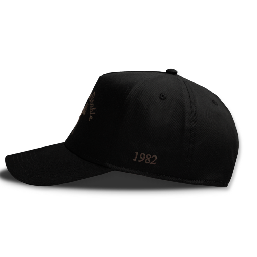 Siegelman Stable Black/Brown Hat