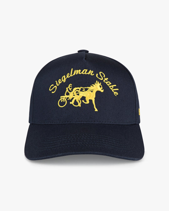 Siegelman Stable Hat