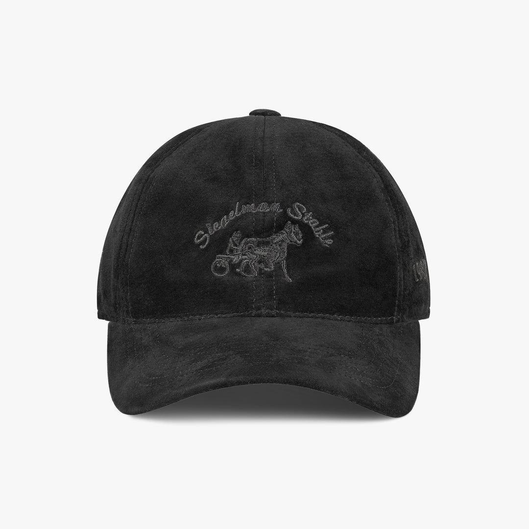 Siegelman Stable Suede Dad Hat