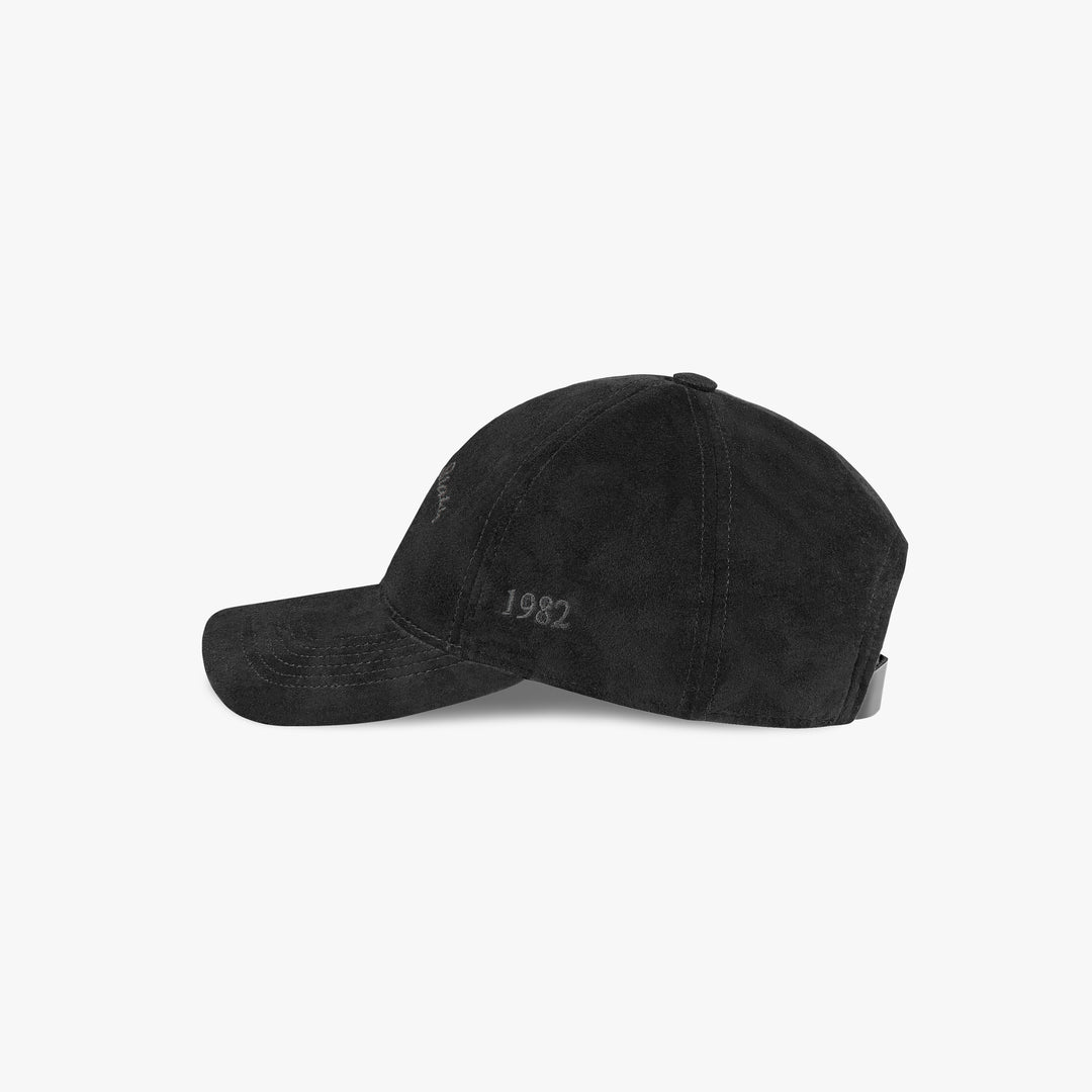 Siegelman Stable Suede Dad Hat