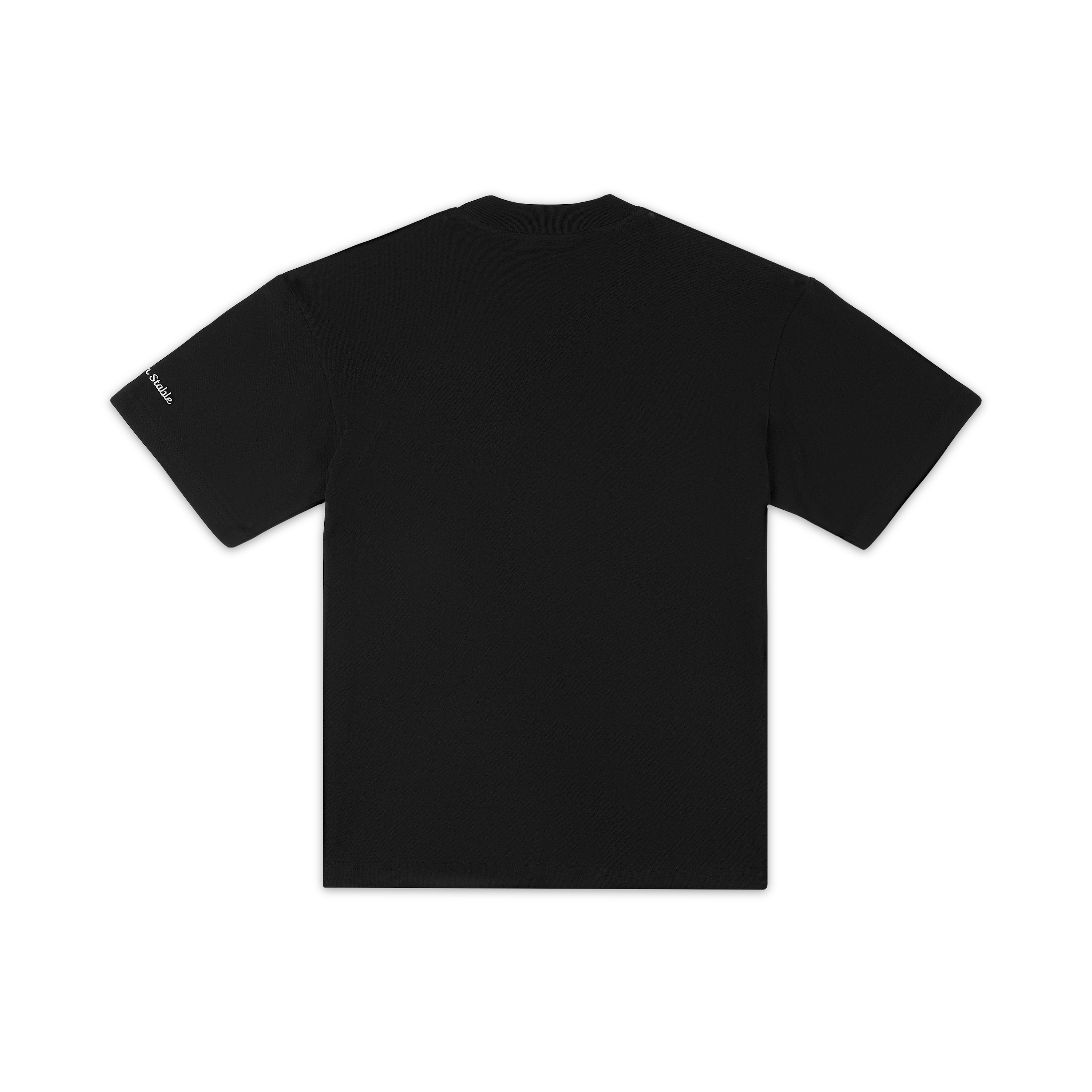 Embroidered Classic Tee