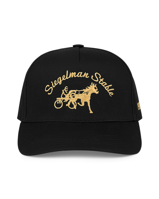 Siegelman Stable Hat