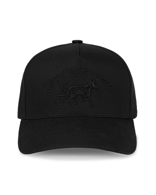 Siegelman Stable Hat