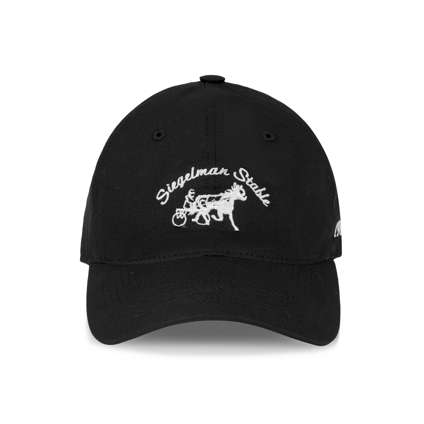 アマンダ・セイフライド(セイフリッド)直筆サイン 8×10インチ Siegelman Stable Dad Hat